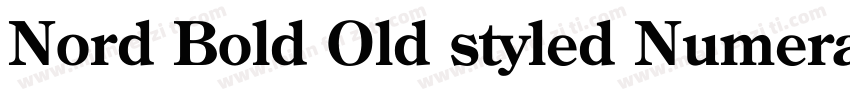 Nord Bold Old styled Numerals字体转换